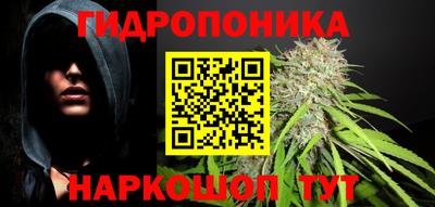 шишки Бузулук