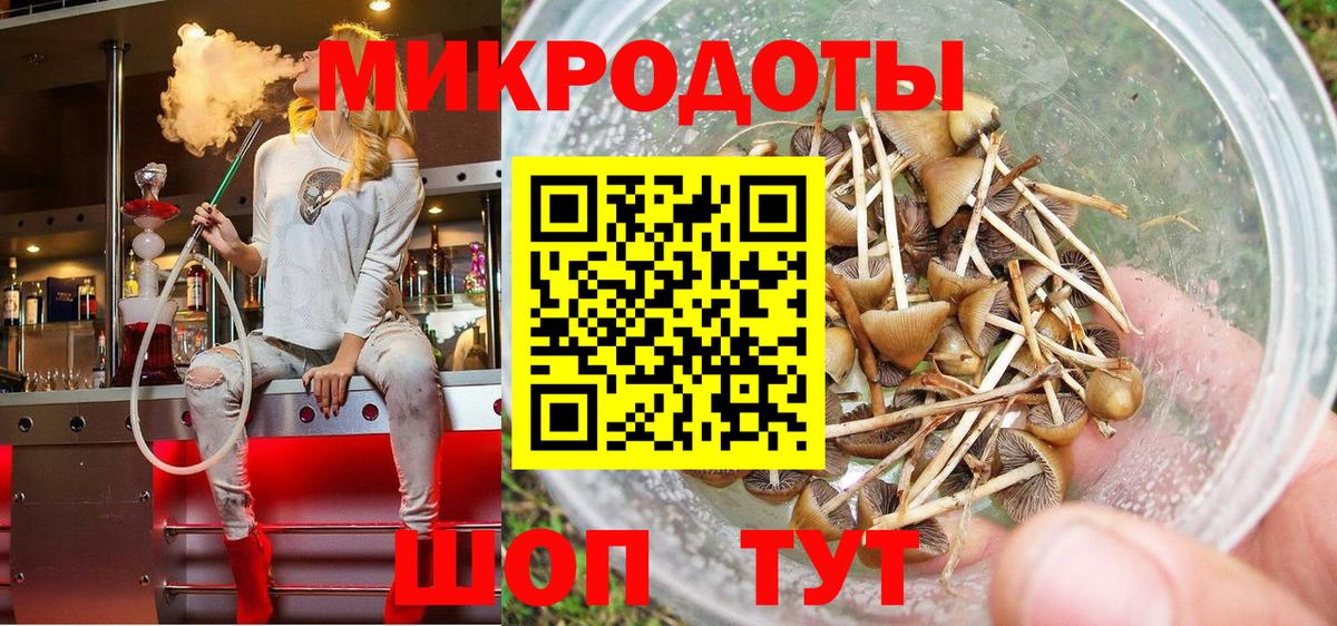 сколько стоит  Псилоцибиновые грибы ЛСД  Вход с VPN  Чистополь 